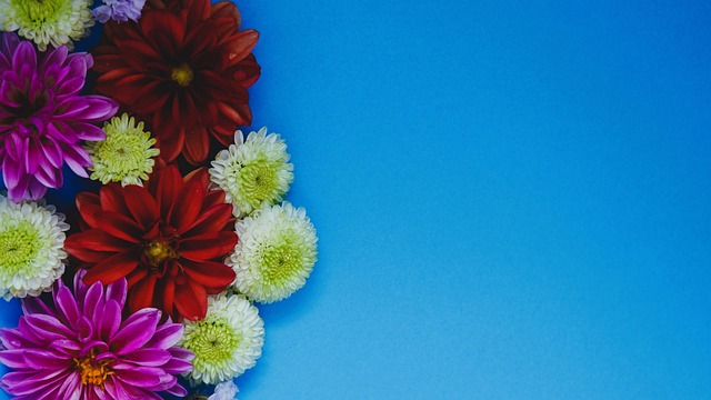 训练场上的 训练场上的