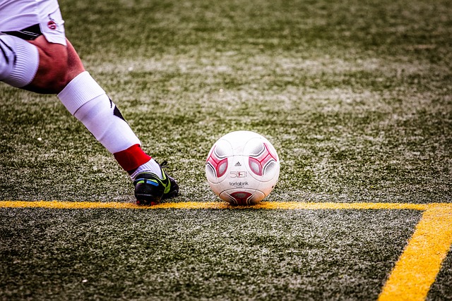 海港队提供 海港队提供