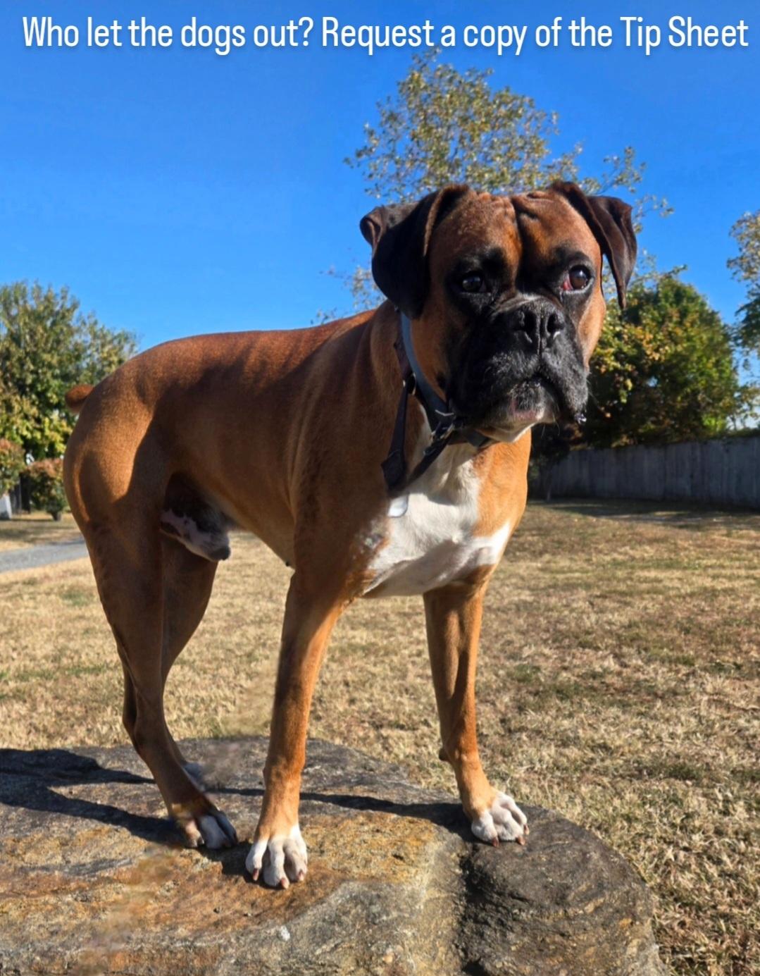 国足之前 国足之前