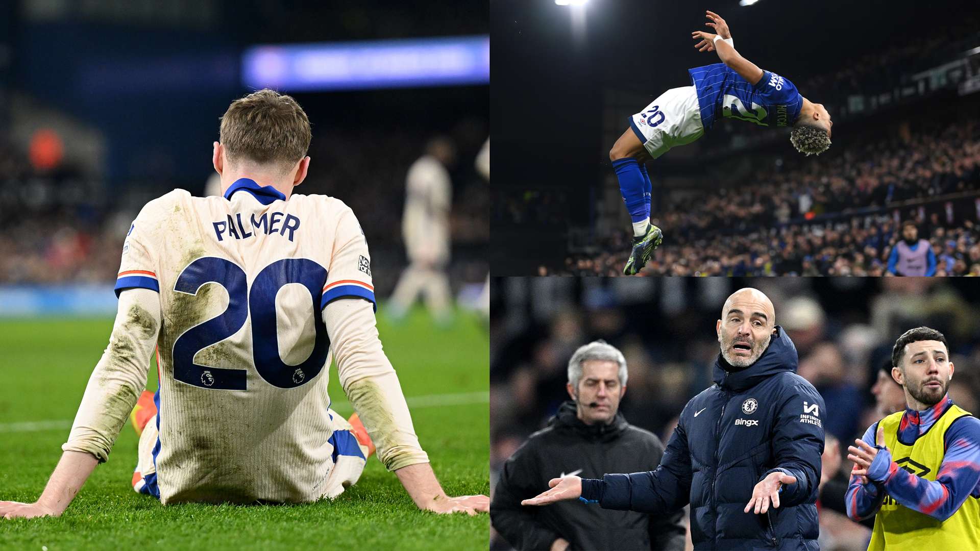 顯然被延續 顯然被延續